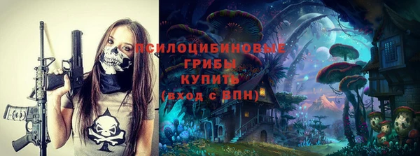 дживик Нязепетровск