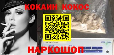 прущие грибы Будённовск