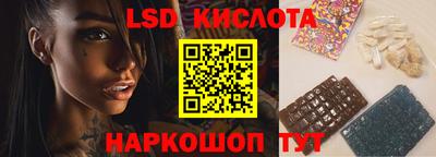 прущие грибы Будённовск