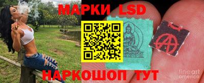 прущие грибы Будённовск