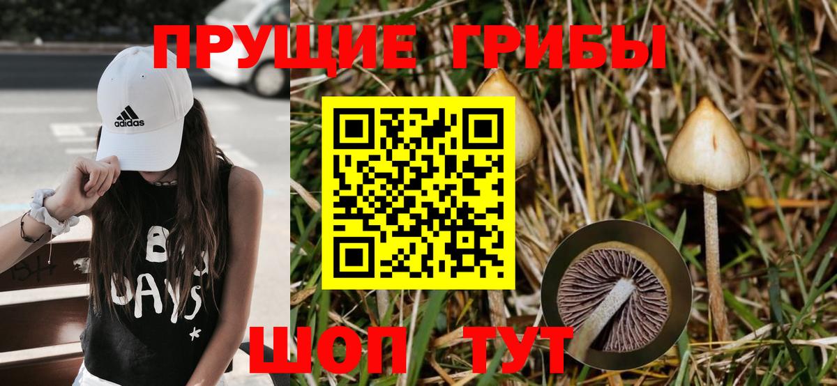 Псилоцибиновые грибы GOLDEN TEACHER  Кудымкар  Галлюциногенные грибы мухоморы 