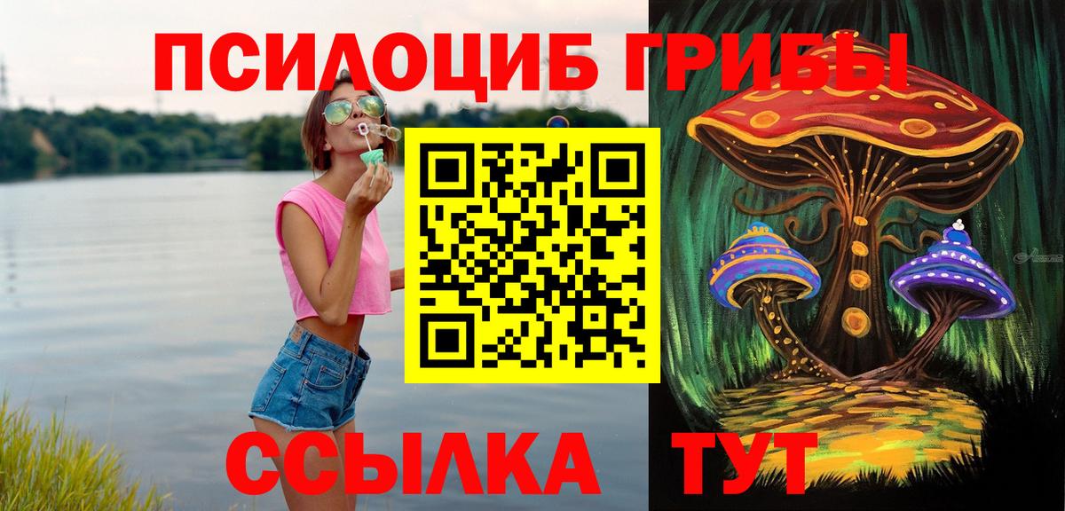 Галлюциногенные грибы Psilocybe Кудымкар