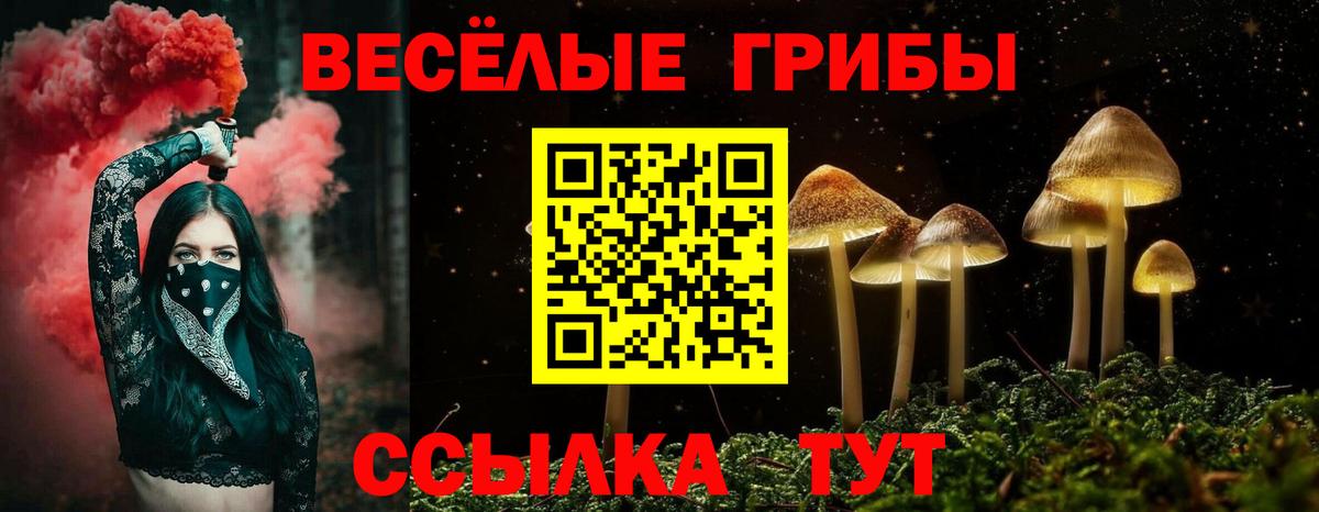 дарнет шоп  Вход с VPN  Галлюциногенные грибы Psilocybine cubensis  Кудымкар  Псилоцибиновые грибы ЛСД 