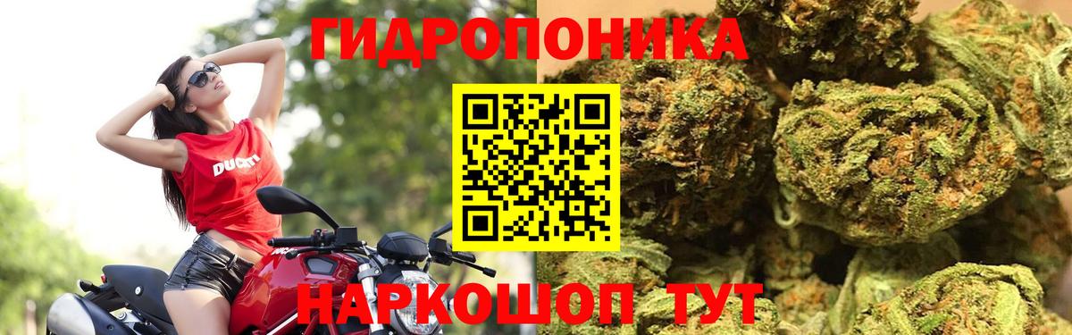 Канабис Ganja Кудымкар